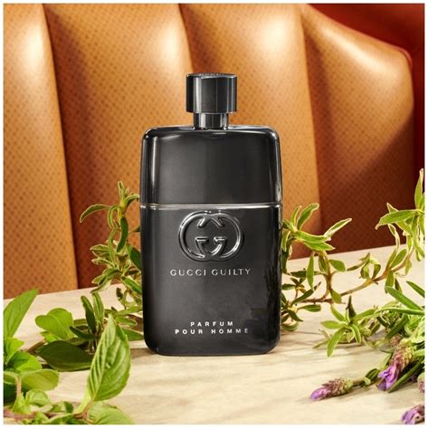 gucci guilty pour homme parfum|gucci guilty parfum fragrantica.